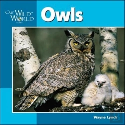 Bertrand.pt - Owls