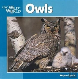 Bertrand.pt - Owls