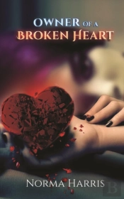 Owner Of A Broken Heart