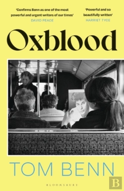 Bertrand.pt - Oxblood