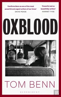 Bertrand.pt - Oxblood