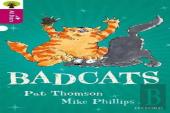Oxford Reading Tree All Stars: Oxford Level 10 Badcats