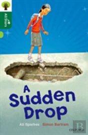 Oxford Reading Tree All Stars: Oxford Level 12: A Sudden Drop