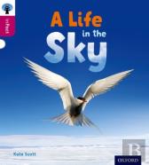 Oxford Reading Tree Infact: Level 10: A Life In The Sky