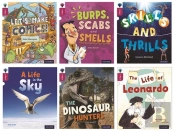 Oxford Reading Tree Infact: Level 10: Class Pack Of 36