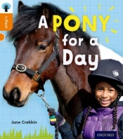 Oxford Reading Tree Infact: Level 6: A Pony For A Day