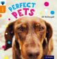 Oxford Reading Tree Infact: Level 6: Perfect Pets
