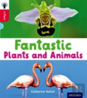 Oxford Reading Tree Infact: Oxford Level 4: Fantastic Plants And Animals