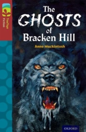 Oxford Reading Tree Treetops Fiction: Level 15: Pack Of 6