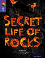 Oxford Reading Tree Treetops Infact: Level 11: Secret Life Of Rocks