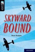 Oxford Reading Tree Treetops Reflect: Oxford Level 20: Skyward Bound