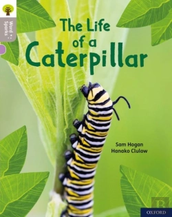 Bertrand.pt - Oxford Reading Tree Word Sparks: Level 1: The Life Of A Caterpillar