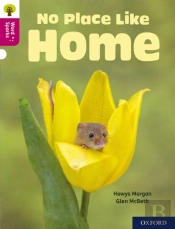 Oxford Reading Tree Word Sparks: Level 10: No Place Like Home
