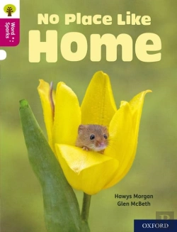 Bertrand.pt - Oxford Reading Tree Word Sparks: Level 10: No Place Like Home