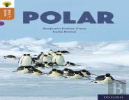 Oxford Reading Tree Word Sparks: Level 8: Polar