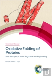 Oxidative Folding Of Proteins