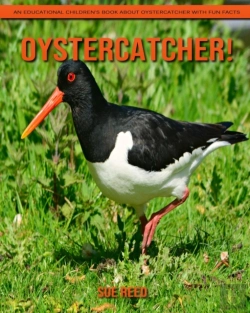 Bertrand.pt - Oystercatcher! An Educational Children'S Book About Oystercatcher With Fun Facts