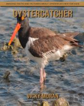 Oystercatcher
