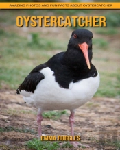 Oystercatcher
