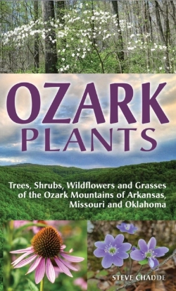 Bertrand.pt - Ozark Plants