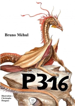 Bertrand.pt - P316 Évolution