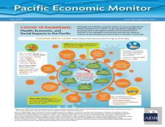 Pacific Economic Monitor
