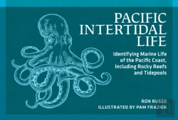 Bertrand.pt - Pacific Intertidal Life