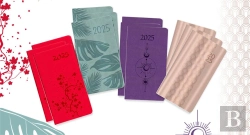Bertrand.pt - Pack 12 Agendas Petits Formats 2025 Color Line