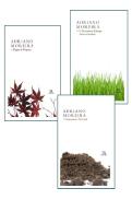 Pack - O Novíssimo Príncipe / Tempo de Vésperas / Saneamento Nacional