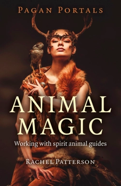 Bertrand.pt - Pagan Portals - Animal Magic