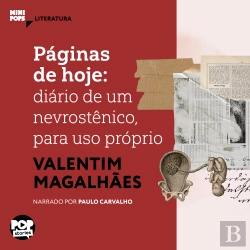 Bertrand.pt - Páginas De Hoje: Diário De Um Nevrostênico, Para Uso Próprio