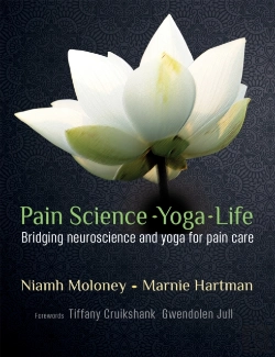 Bertrand.pt - Pain Science - Yoga - Life