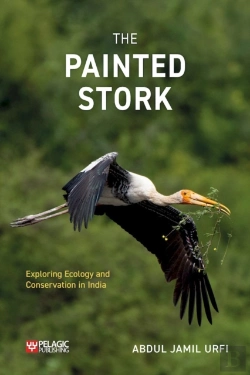Bertrand.pt - Painted Stork