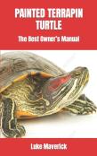 Painted Terrapin Turtle