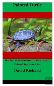 Painted Turtle