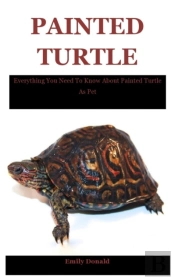 Painted Turtle