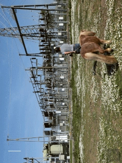 Bertrand.pt - Paisagens Transgénicas