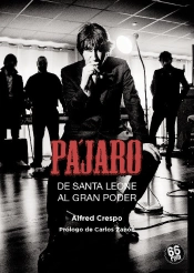 Pajaro De Santa Leone Al Gran Poder