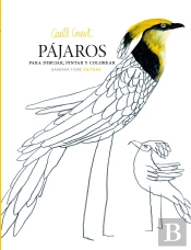 Pájaros Para Dibujar, Pintar Y Colorear