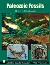Paleozoic Fossils