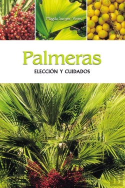 Bertrand.pt - Palmeras - Elección Y Cuidados