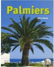 Palmiers