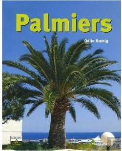 Bertrand.pt - Palmiers