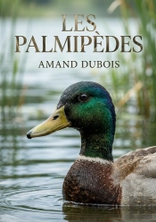 Palmipedes - Une Exploration Des Palmipedes