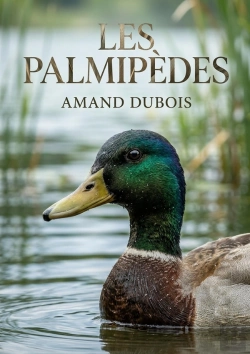 Bertrand.pt - Palmipedes - Une Exploration Des Palmipedes