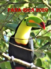Pana-Rica