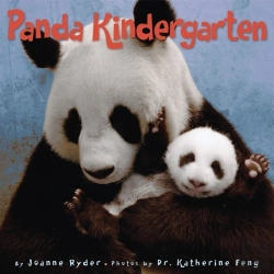 Bertrand.pt - Panda Kindergarten