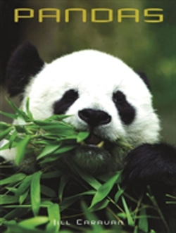 Bertrand.pt - Pandas