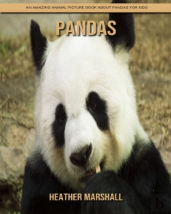 Bertrand.pt - Pandas