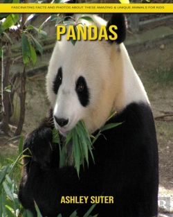 Bertrand.pt - Pandas